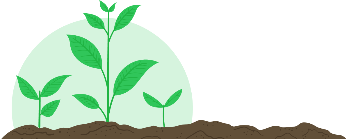 About Environment